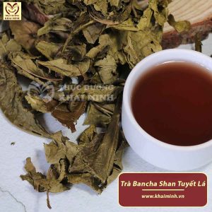 17. Tra Bancha Shan Tuyet La Khai Minh 3 1