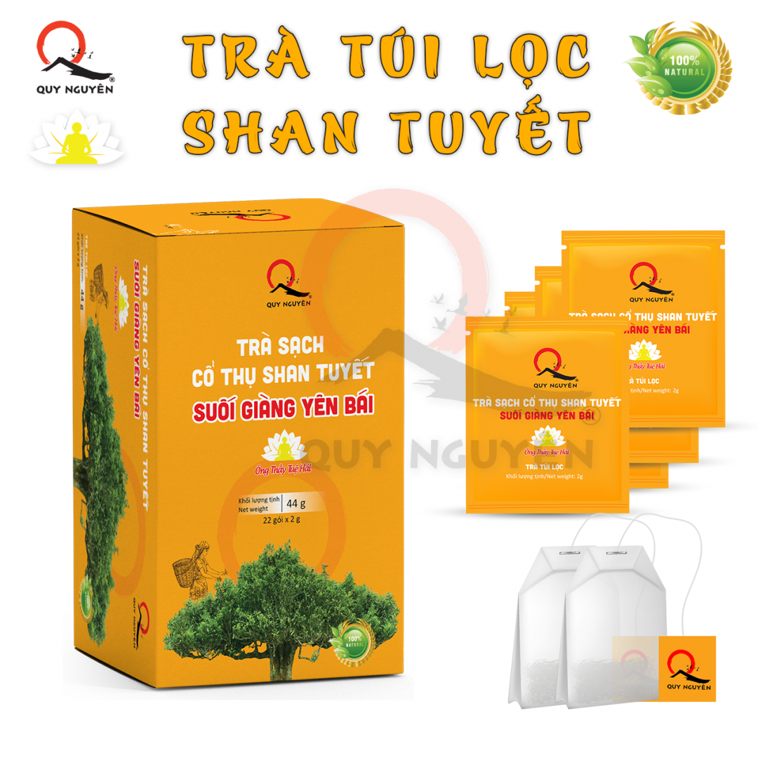 Trà sạch cổ thụ Shan Tuyết Suối Giàng Yên Bái Trà sạch cổ thụ Shan Tuyết Suối Giàng Yên Bái
